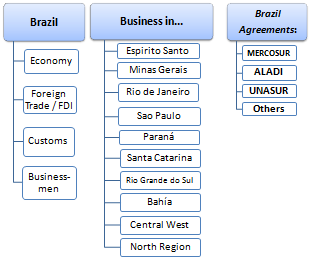 Kurs Master: Geschäfte in Brasilien