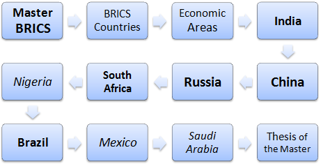 Master Kurs BRICS Aufstrebende Märkte